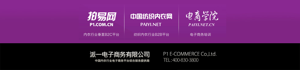 派一电子商务有限公司