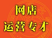 网店运营专才